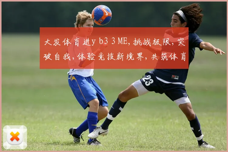 大发体育进y b3 3 ME,挑战极限,突破自我,体验竞技新境界,共筑体育梦,
